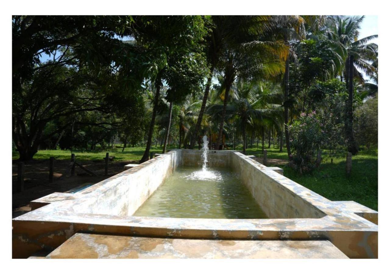 Down To Earth Farmstay By Laksem Anaimalai Exterior photo
