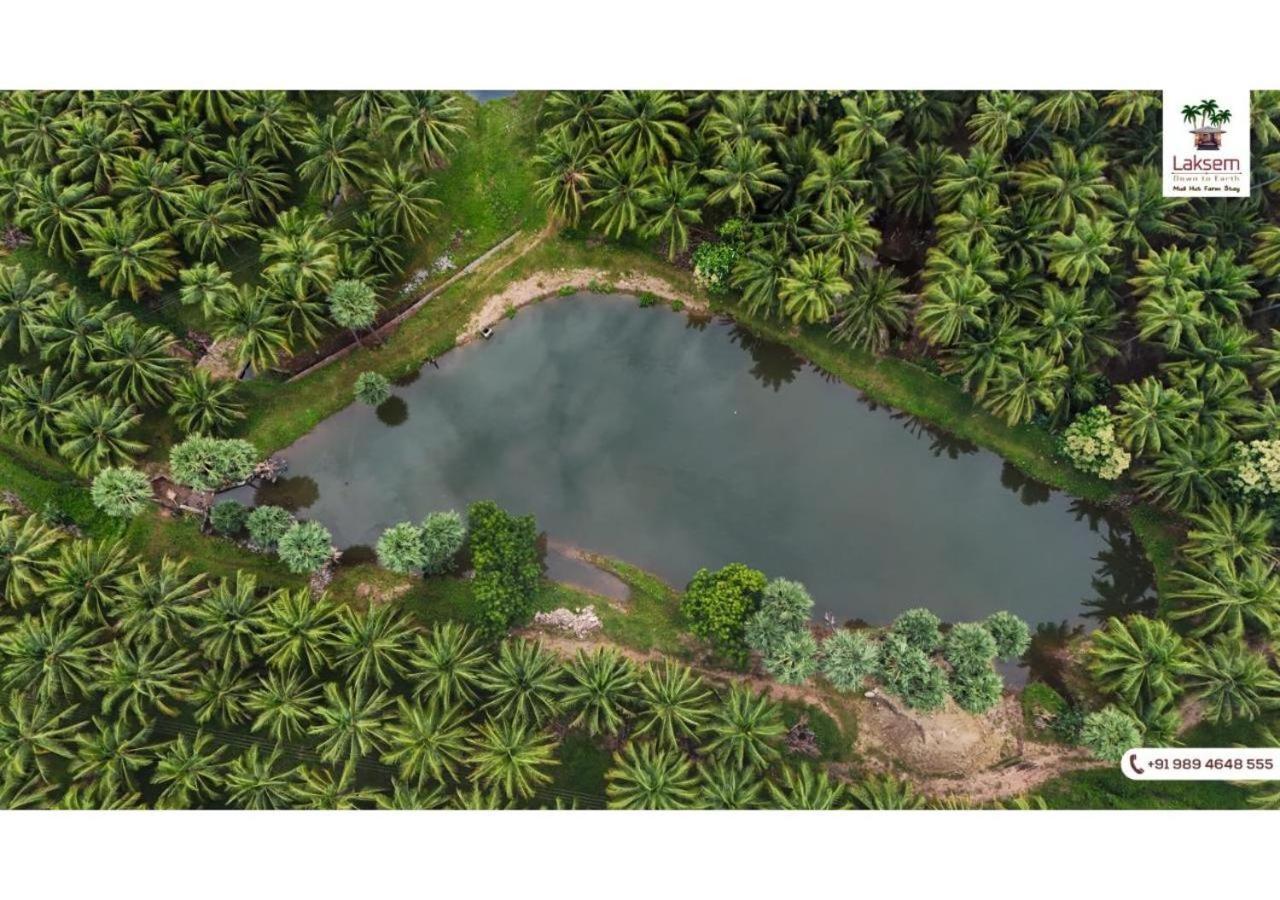 Down To Earth Farmstay By Laksem Anaimalai Exterior photo